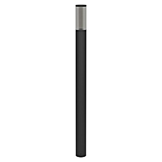 Eglo Farola Salle (15 W, Color del marco: Negro, 7,5 x 7,5 x 110 cm, Sin bombillas)
