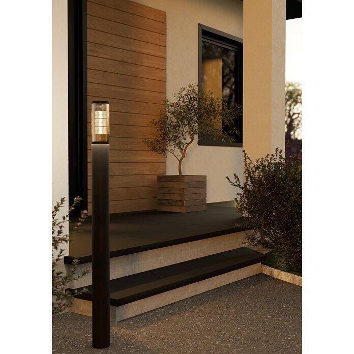 Eglo Farola Salle (15 W, Color del marco: Negro, 7,5 x 7,5 x 110 cm, Sin bombillas) | BAUHAUS