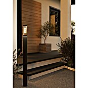 Eglo Farola Salle (15 W, Color del marco: Negro, 7,5 x 7,5 x 110 cm, Sin bombillas) | BAUHAUS