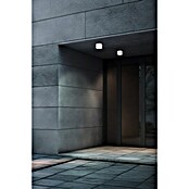 Eglo Aplique exterior LED Barcarola-E (4,5 W, 10,5 x 10,5 x 10 cm, Blanco, IP44, Blanco neutro) | BAUHAUS