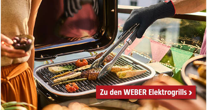Weber Elektrogrills