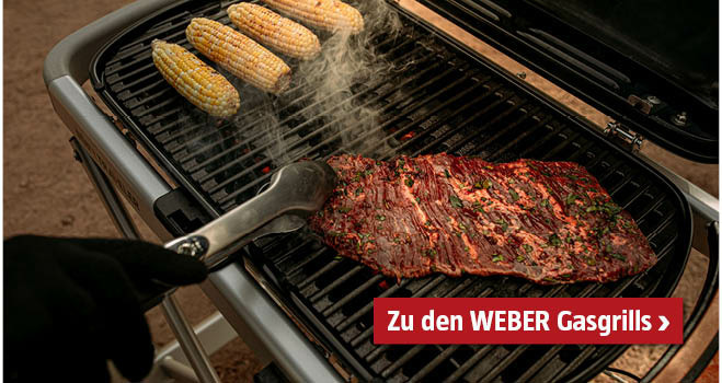 Weber Gasgrills