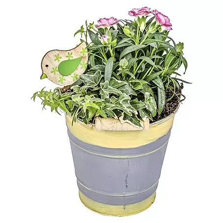 Piardino  Garten-Arrangement im Zinkeimer