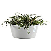 Ecopots Pflanzschale rund Frankfurt (Außenmaß (Ø x H): 41 x 17,8 cm, Kunststoff, Weiß Grau) | BAUHAUS