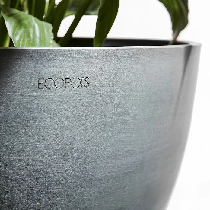 Ecopots Pflanztopf Venice 2 - Außenmaß (Ø x H): 30 x 27,5 cm, Kunststoff, Grau - Nahaufnahme eines grauen ECOPOTS-Blumentopfs mit einer Pflanze. Der Topf hat eine glatte Oberfläche und eine eingravierte Inschrift.