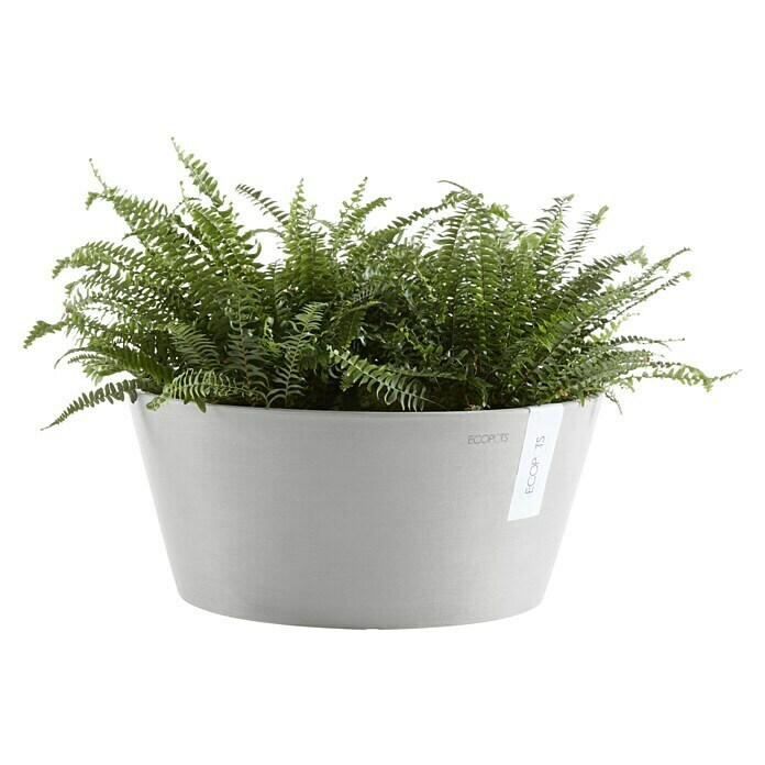 Ecopots Pflanzschale rund Frankfurt (Außenmaß (Ø x H): 30,6 x 15,6 cm, Kunststoff, Weiß Grau) | BAUHAUS