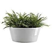 Ecopots Pflanzschale rund Frankfurt (Außenmaß (Ø x H): 30,6 x 15,6 cm, Kunststoff, Weiß Grau) | BAUHAUS