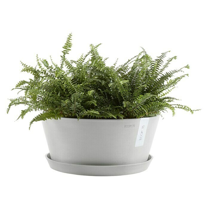 Ecopots Pflanzschale rund Frankfurt (Außenmaß (Ø x H): 41 x 17,8 cm, Kunststoff, Weiß Grau) | BAUHAUS