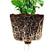 Ecopots Oslo Pflanztopf (Außenmaß (Ø x H): 45 x 39,4 cm, Kunststoff, Dunkelgrau) | BAUHAUS