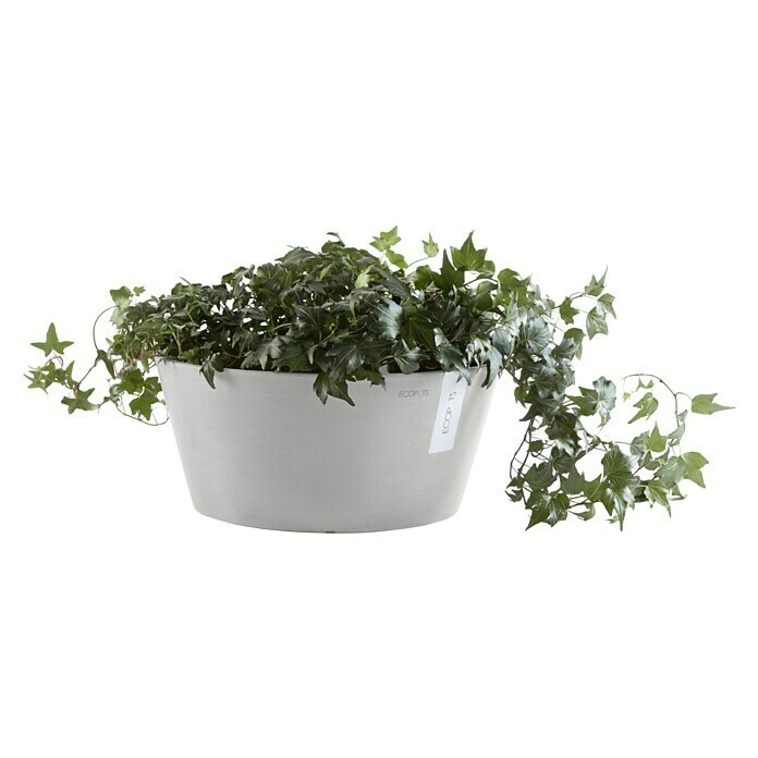 Ecopots Pflanzschale rund Frankfurt (Außenmaß (Ø x H): 30,6 x 15,6 cm, Kunststoff, Weiß Grau) | BAUHAUS