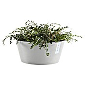 Ecopots Pflanzschale rund Frankfurt (Außenmaß (Ø x H): 30,6 x 15,6 cm, Kunststoff, Weiß Grau) | BAUHAUS