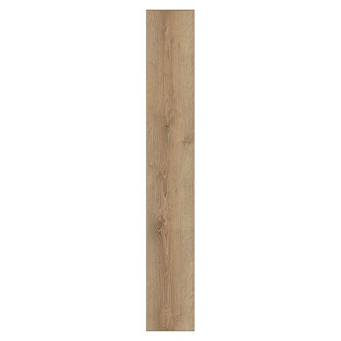 Krono Original Laminat Super Natural Clearwater Oak (1.288 x 195 x 8 mm, Landhausdiele, Clearwater Oak) | BAUHAUS