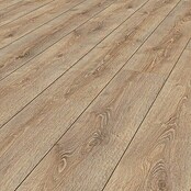 Krono Original Laminat Super Natural Clearwater Oak (1.288 x 195 x 8 mm, Landhausdiele, Clearwater Oak) | BAUHAUS