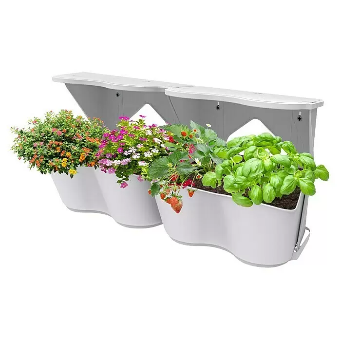 Romberg BoQube Pflanzkasten Flexi Garden - Außenmaß (L x B x H): 26 x 20 x 26 cm, Kunststoff, Lichtgrau - Zwei weiße vertikale Gartenpflanzgefäße, gefüllt mit bunten Blumen, Erdbeeren und Basilikum.