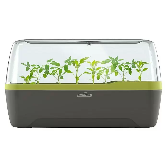 Romberg BoQube Anzucht-Set L Plus - L x B x H: 41 x 17 x 23 cm, Anthrazit/Sommergrün - Grau-limettengrünes Anzuchtgewächshaus mit transparenter Abdeckung und jungen Pflanzen. Romberg-Logo auf der Vorderseite.