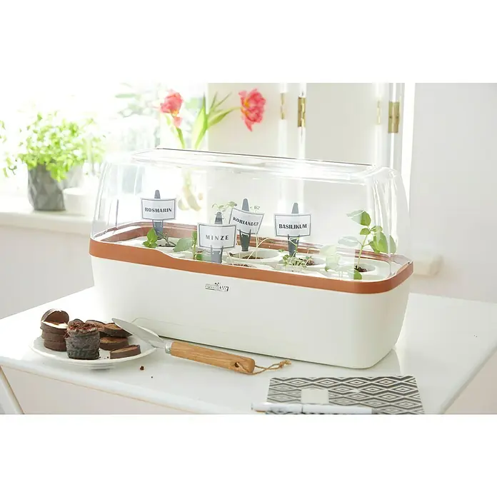 Romberg BoQube Anzucht-Set L Plus - L x B x H: 41 x 17 x 23 cm, Creme/Kupferbraun - Innen-Kräutergarten mit Basilikum, Rosmarin, Minze und Koriander im Gewächshaus mit Anzuchterde und Gartenwerkzeug.