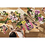Lechuza Pflanzgranulat Orchidpon (3 l) | BAUHAUS