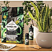 Lechuza Universaldünger Perfect Leaf Fluid (500 ml) | BAUHAUS