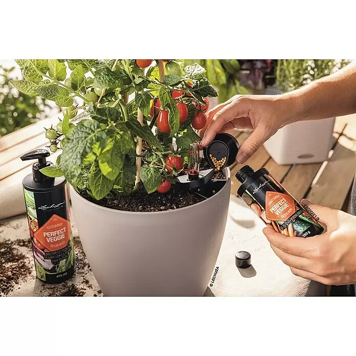 Lechuza Universaldünger Perfect Veggie - 475 ml - Eine Hand füllt granularen 'PERFECT VEGGIE' Dünger in einen hellgrauen Selbstbewässerungstopf mit Tomatenpflanze.