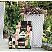 Lechuza Flüssigdünger PON Perfect Flower Fluid (500 ml, Geeignet für: Blühpflanzen) | BAUHAUS