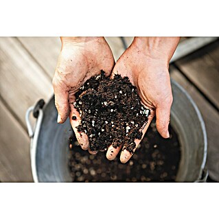 Lechuza Pflanzgranulat Veggiepon (6 l)