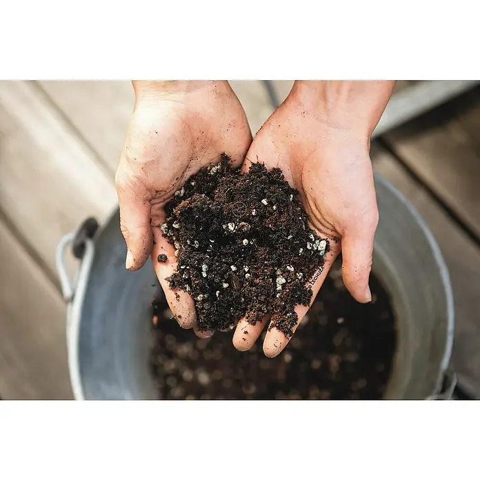Lechuza Pflanzgranulat Veggiepon - 6 l - Hände halten Erde mit Perlit in einem hellen Metalleimer. Ideal für Pflanzenliebhaber, die gesunde Blumenerde benötigen.