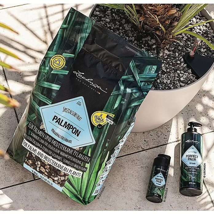 Lechuza Universaldünger Perfect Palm Fluid - 475 ml - Lechuza PALMPON Substratbeutel und zwei PERFECT PALM Dünger für Palmen, neben einer Topfpalme.