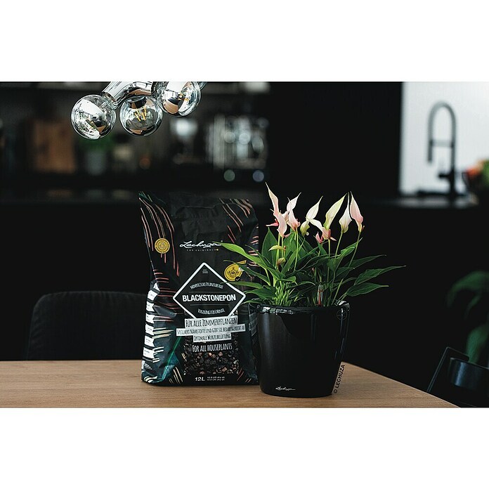 Lechuza Pflanzensubstrat Blackstone Pon (12 l) | BAUHAUS