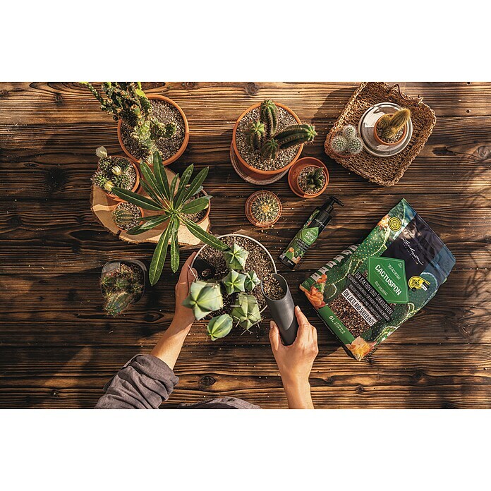Lechuza Flüssigdünger PON Perfect Cactus Fluid (225 ml, Geeignet für: Kakteen) | BAUHAUS
