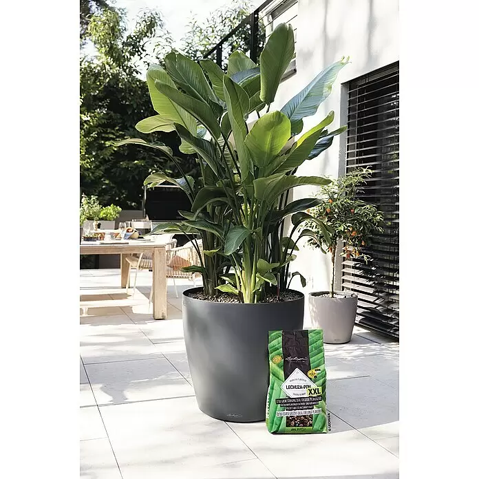 Lechuza Pflanzgranulat Pon XXL - 25 l - Großer dunkelgrauer Lechuza Pflanzkübel mit Pflanze auf einer Terrasse, daneben ein grüner Beutel Lechuza-Pon XXL Substrat.