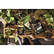 Lechuza Pflanzensubstrat Blackstone Pon (12 l) | BAUHAUS