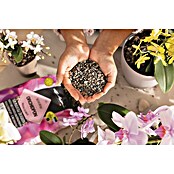 Lechuza Pflanzgranulat Orchidpon (6 l) | BAUHAUS