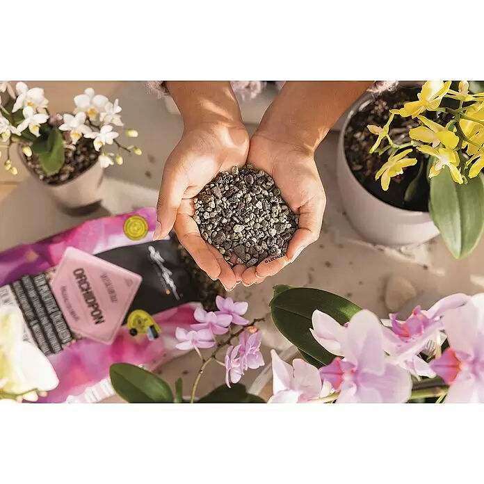 Lechuza Pflanzgranulat Orchidpon - 6 l - Hände halten granuläres Orchideensubstrat, umgeben von blühenden Orchideen und Pflanzpflegeprodukten.