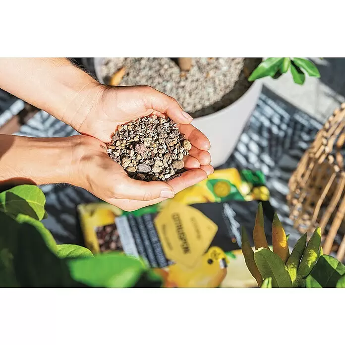 Lechuza Pflanzgranulat Citruspon - 12 l - Hände halten mehrfarbiges, körniges Pflanzsubstrat, Lechuza PON, bereit zum Eintopfen von Pflanzen.