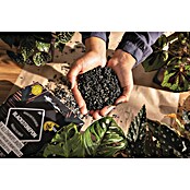 Lechuza Pflanzensubstrat Blackstone Pon (6 l) | BAUHAUS