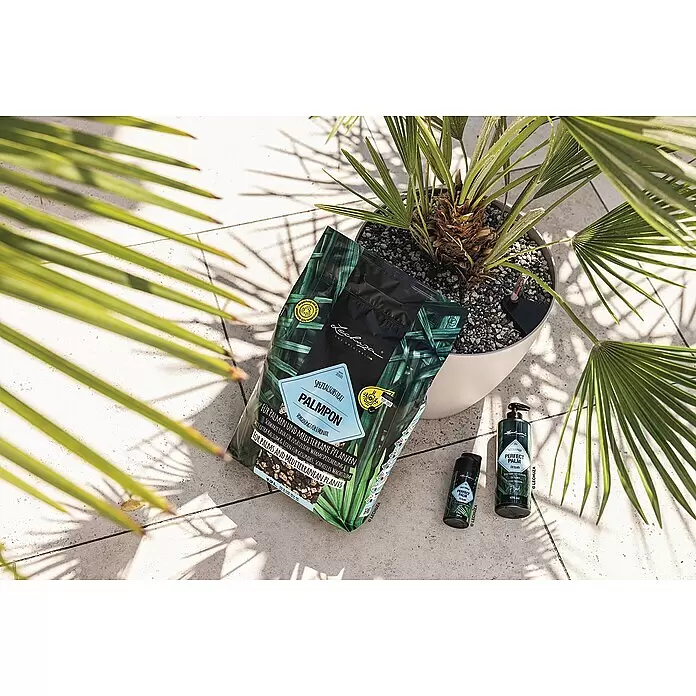 Lechuza Pflanzgranulat Plampon - 12 l - Lechuza PALMPON Substratbeutel und zwei PERFECT PALM Dünger für Palmen, draußen neben einer Topfpalme.