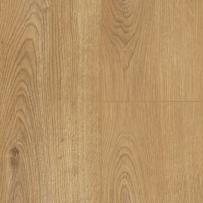 Krono Original Laminat Super Natural Sherwood Oak (1.288 x 195 x 8 mm, Landhausdiele, Sherwood Oak) | BAUHAUS