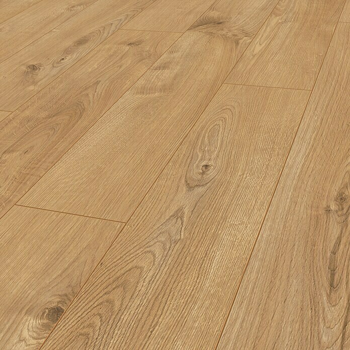 Krono Original Laminat Super Natural Sherwood Oak (1.288 x 195 x 8 mm, Landhausdiele, Sherwood Oak) | BAUHAUS