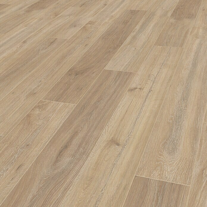 Krono Original Laminatmuster Super Natural Khaki Oak (297 x 195 x 8 mm, Landhausdiele) | BAUHAUS