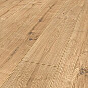 Krono Original Laminat Super Natural New England Oak (1.288 x 195 x 8 mm, Landhausdiele, New England Oak) | BAUHAUS