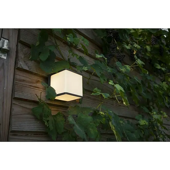 Lutec Doblo Aplique exterior LED Big - 19,1 W, 15 x 15 x 15 cm, Antracita, IP54 - Una lámpara de exterior cuadrada montada en una pared de madera, rodeada de viñas, emite un brillo cálido, creando un ambiente acogedor en el área exterior.