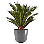 Ecopots Oslo Pflanztopf (Außenmaß (Ø x H): 25 x 21,8 cm, Kunststoff, Grau) | BAUHAUS