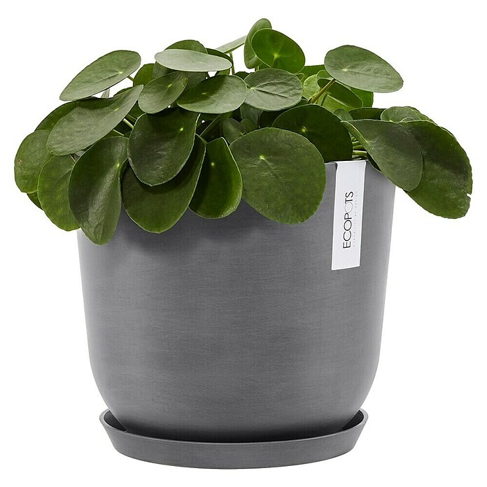 Ecopots Oslo Pflanztopf (Außenmaß (Ø x H): 25 x 21,8 cm, Kunststoff, Grau) | BAUHAUS