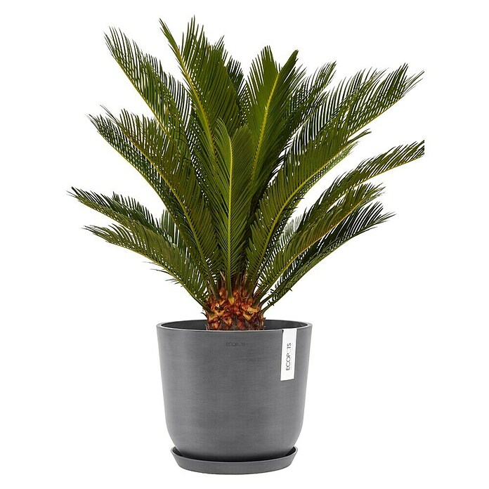 Ecopots Oslo Pflanztopf (Außenmaß (Ø x H): 25 x 21,8 cm, Kunststoff, Grau) | BAUHAUS