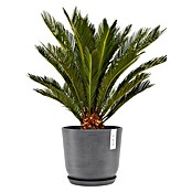 Ecopots Oslo Pflanztopf (Außenmaß (Ø x H): 25 x 21,8 cm, Kunststoff, Grau) | BAUHAUS