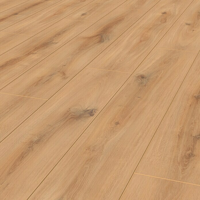 Krono Original Laminat Organic Classic Golden Vista Oak (1.288 x 195 x 8 mm, Landhausdiele, Golden Vista Oak) | BAUHAUS