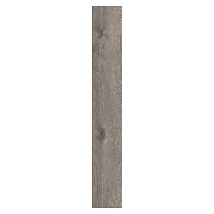 Krono Original Laminat Organic Classic Tornado Oak (1.288 x 195 x 8 mm, Landhausdiele, Tornado Oak) | BAUHAUS