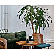 Globo Lámpara de sobremesa Annika (25 W, Ø x Al: 9 x 30 cm, Negro, E27) | BAUHAUS