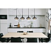 Globo Visilica Maxy  (40 W, Opremljena s 4 sjenila, D x Š x V: 100 x 18 x 120 cm, E27) | BAUHAUS