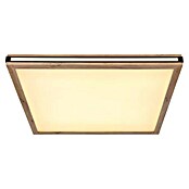 Globo LED stropna svjetiljka Carla  (24 W, Topla bijela, Smeđa, D x Š x V: 60 x 60 x 7,5 cm) | BAUHAUS